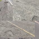 Foto Istimewa (Dok TB)