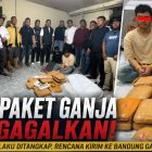 Foto Istimewa-Sari Tinombala.com