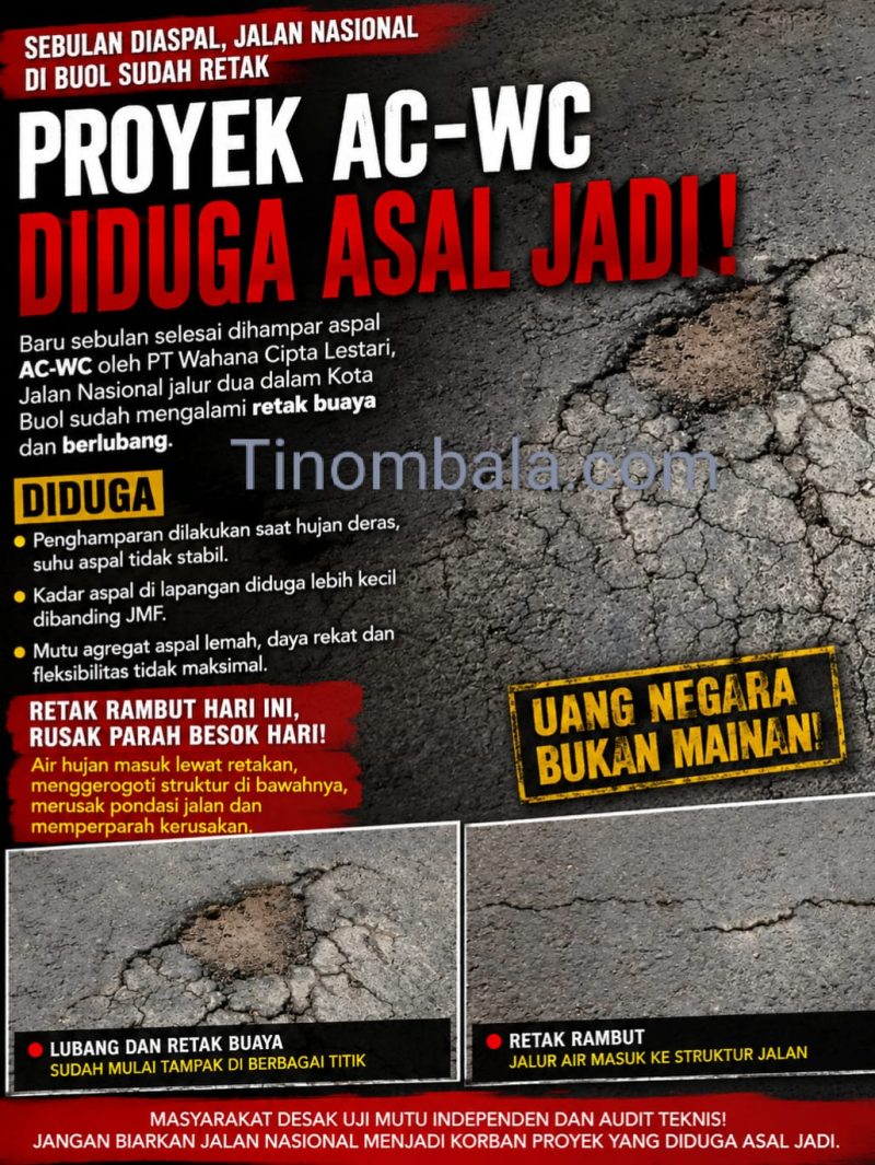 Foto Ist- Tinombala.com