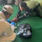 Foto Ist-Novita Sari Tinombala.com
