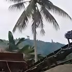 Foto Ist- Investigasi Tinombala.com