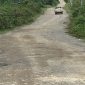 Akses masuk Jalan wisata Rusak berlubang Foto Ist-Tim Investigasi 