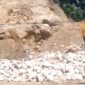 PT Duta Sarana Batuan Tak Indahkan Surat Dinas ESDM Provinsi Sulteng 