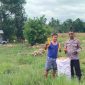 Foto Istimewa Humas Polres Tojo una-una 