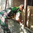 Foto Ist-Novita Sari Tinombala.com 
