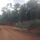 Foto Istimewa Tinombala.com