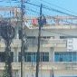Foto Istimewa AR Tinombala.com