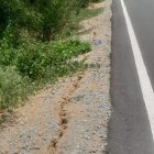 Foto Ist-Tim investigasi Tinombala.com